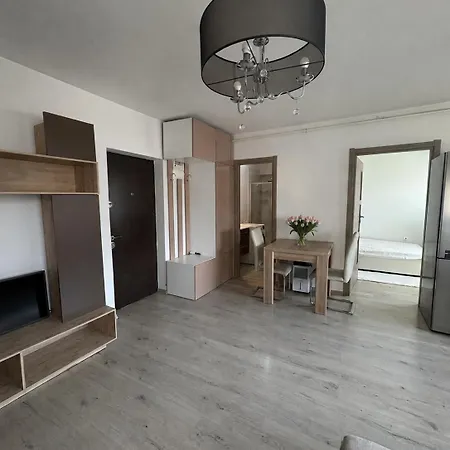 Apartment Cozy Near Iulius Mall